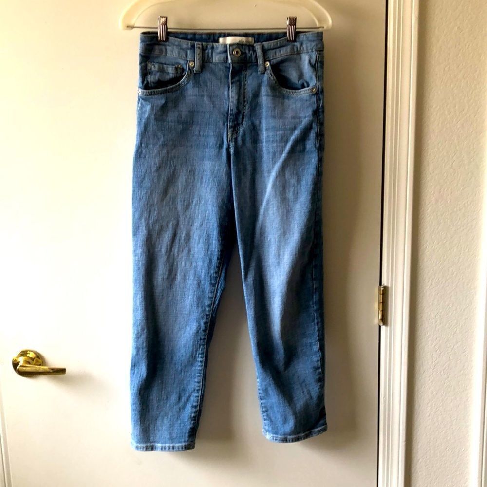 Ella Moss High Waisted Straight Leg Jeans Size 8/29 GUC